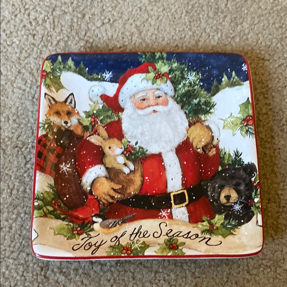 Festive Santa Holiday Plate